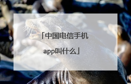 中国电信手机app叫什么