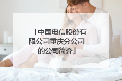 中国电信股份有限公司重庆分公司的公司简介