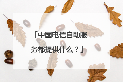 中国电信自助服务都提供什么？