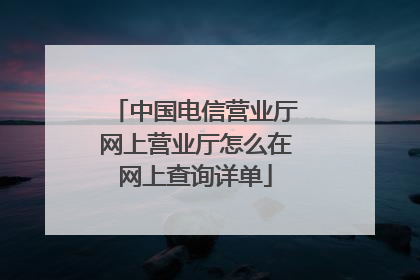 中国电信营业厅网上营业厅怎么在网上查询详单