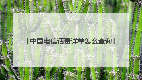 中国电信话费详单怎么查询