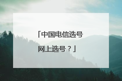 中国电信选号网上选号？