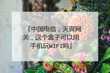 中国电信，天翼网关，这个盒子可以用手机玩WIFI吗