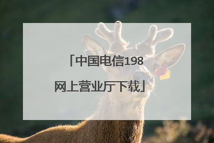 中国电信198网上营业厅下载
