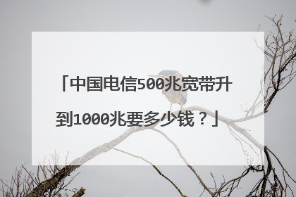 中国电信500兆宽带升到1000兆要多少钱？