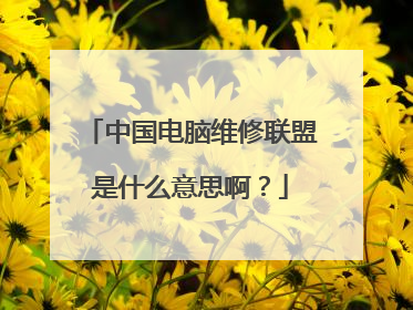 中国电脑维修联盟是什么意思啊？