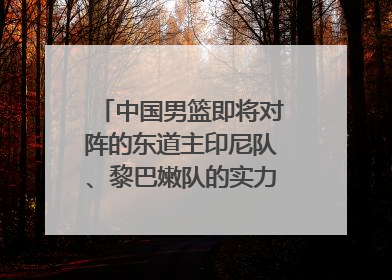 中国男篮即将对阵的东道主印尼队、黎巴嫩队的实力状态究竟如何?