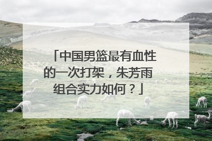 中国男篮最有血性的一次打架，朱芳雨组合实力如何？