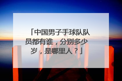 中国男子手球队队员都有谁，分别多少岁，是哪里人？