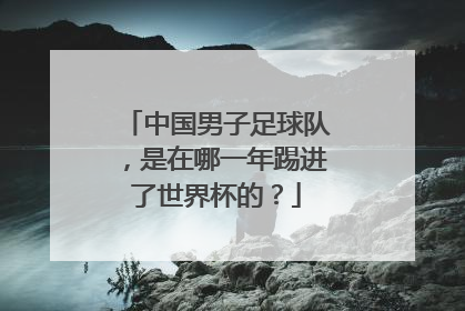 中国男子足球队，是在哪一年踢进了世界杯的？