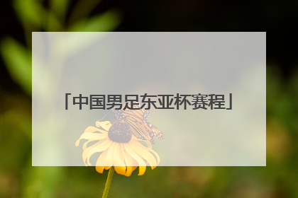 中国男足东亚杯赛程