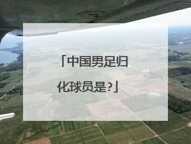 中国男足归化球员是?