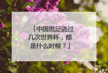 中国男足进过几次世界杯，都是什么时候？