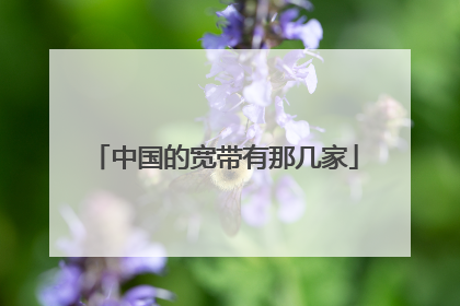 中国的宽带有那几家