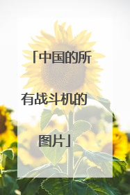 中国的所有战斗机的图片