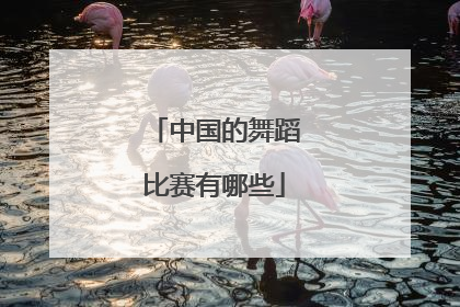 中国的舞蹈比赛有哪些