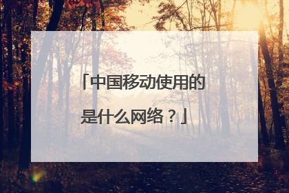 中国移动使用的是什么网络？
