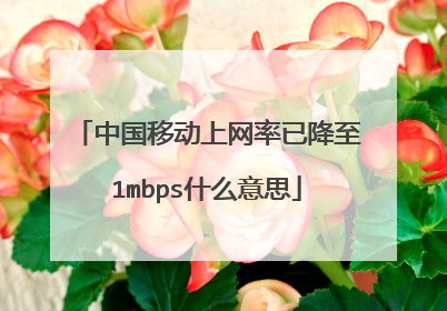 中国移动上网率已降至1mbps什么意思