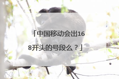 中国移动会出168开头的号段么？
