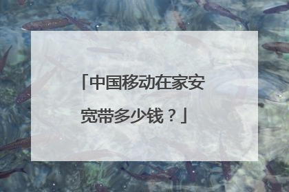 中国移动在家安宽带多少钱？