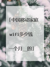中国移动家庭wifi多少钱一个月__的