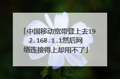 中国移动宽带登上去192.168.1.1然后网络连接得上却用不了
