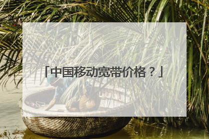 中国移动宽带价格?