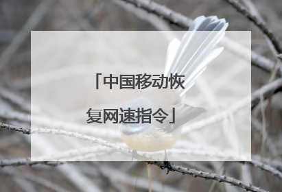 中国移动恢复网速指令