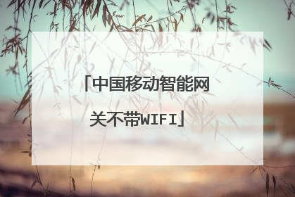 中国移动智能网关不带WIFI
