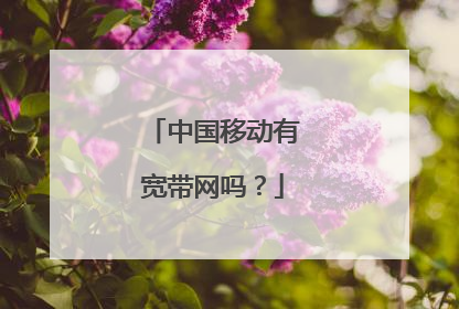 中国移动有宽带网吗?