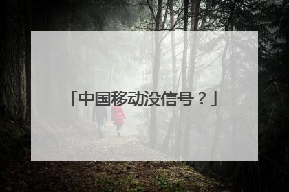 中国移动没信号?