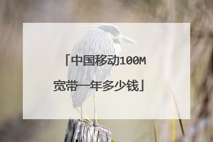 中国移动100M宽带一年多少钱
