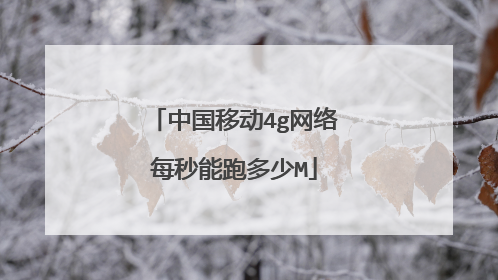 中国移动4g网络每秒能跑多少M