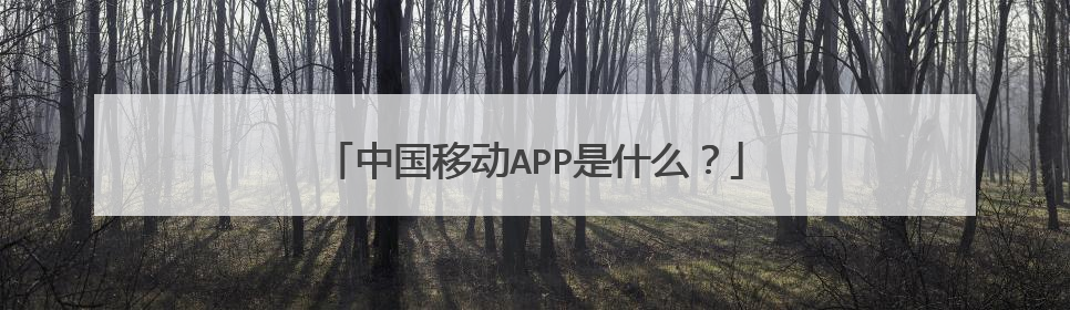 中国移动APP是什么?
