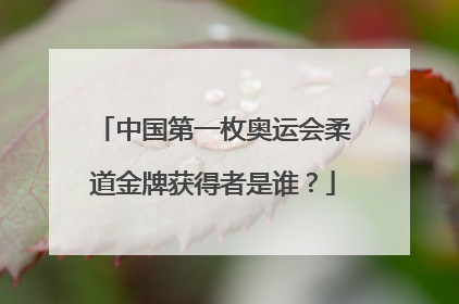 中国第一枚奥运会柔道金牌获得者是谁？