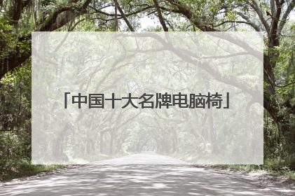 中国十大名牌电脑椅