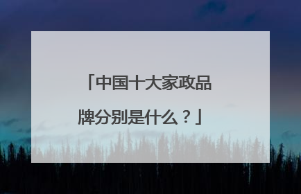 中国十大家政品牌分别是什么?