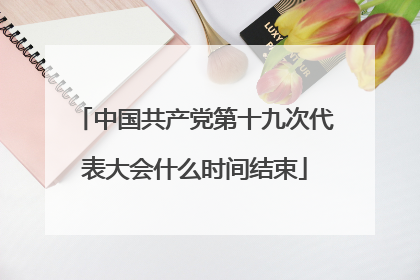 中国共产党第十九次代表大会什么时间结束