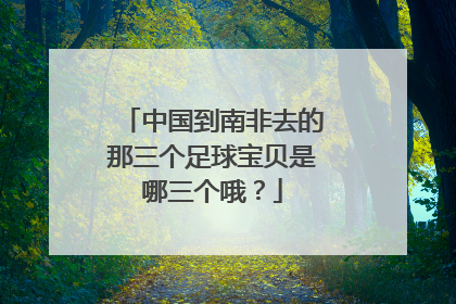中国到南非去的那三个足球宝贝是哪三个哦？