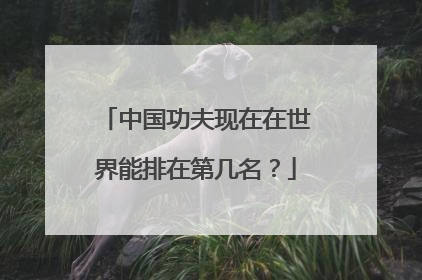 中国功夫现在在世界能排在第几名？