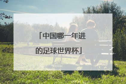 中国哪一年进的足球世界杯