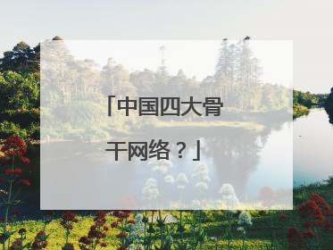 中国四大骨干网络?