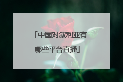 中国对叙利亚有哪些平台直播