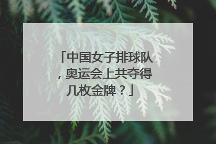 中国女子排球队，奥运会上共夺得几枚金牌？