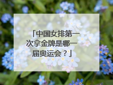 中国女排第一次拿金牌是哪一届奥运会？