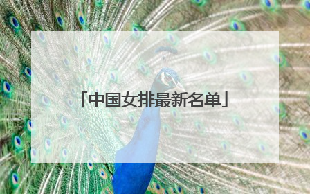 中国女排最新名单