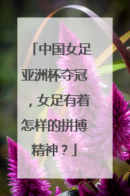 中国女足亚洲杯夺冠，女足有着怎样的拼搏精神？