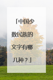 中国少数民族的文字有哪几种？