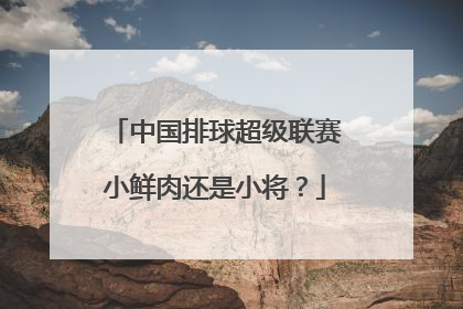 中国排球超级联赛小鲜肉还是小将？