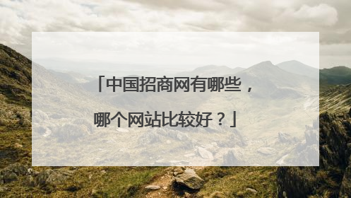中国招商网有哪些，哪个网站比较好？